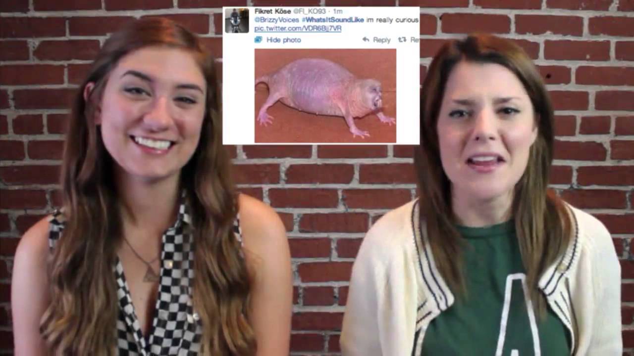What's It Sound Like?! (ft. GRACE HELBIG)