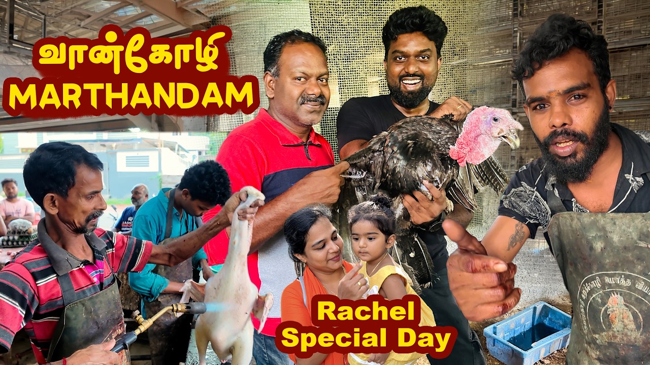 Rachel Pappa Special Day 🤩 வான்கோழி 🦃 Marthandam 
