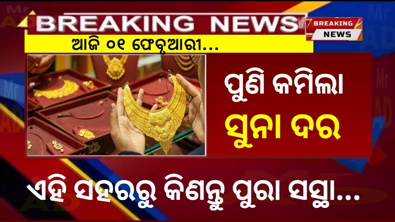 01 February | Ajira Taja Suna Dara | Gold Price Today Odisha | Aj Ka Sone ka Bhaw | Today Gold Rate