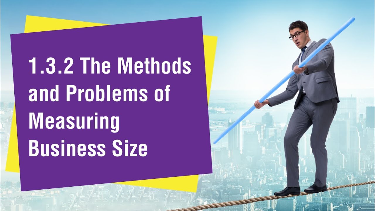 1.3.2 The Methods and Problems of Measuring Business Size