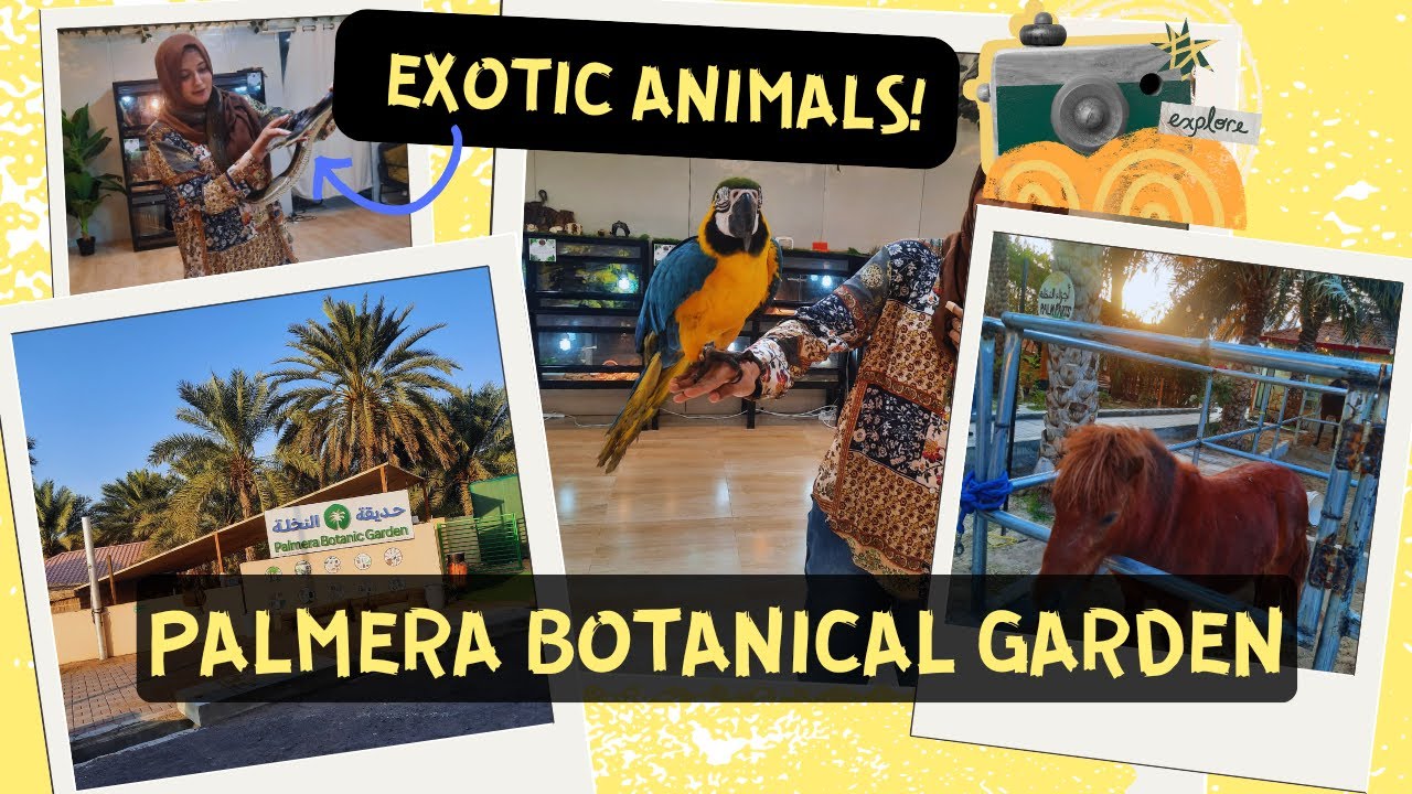PALMERA FARM + BOTANICAL GARDEN MUSCAT OMAN | REPTILES, BIRDS, FARM ANIMALS AND MORE