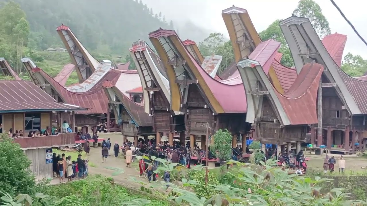 Kedatangan Alm kak Fadly di Baruppu' Toraja Utara 🥹