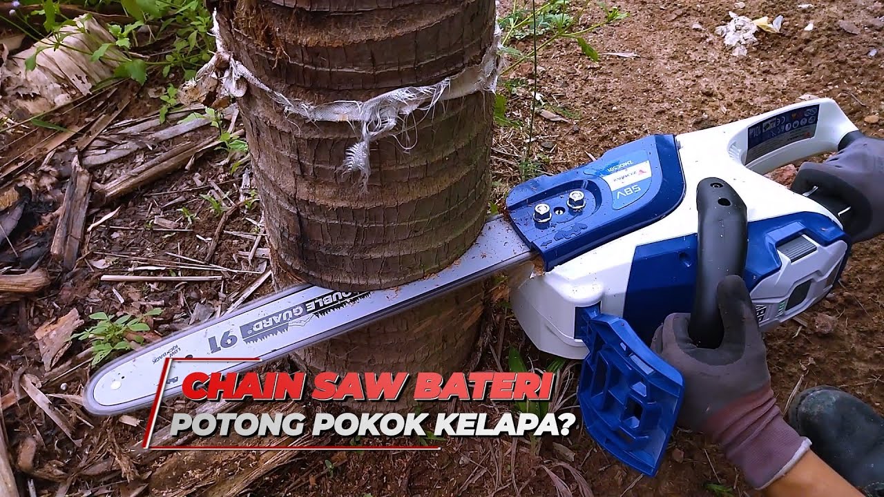 CHAIN SAW BATERI | POTONG POKOK KELAPA