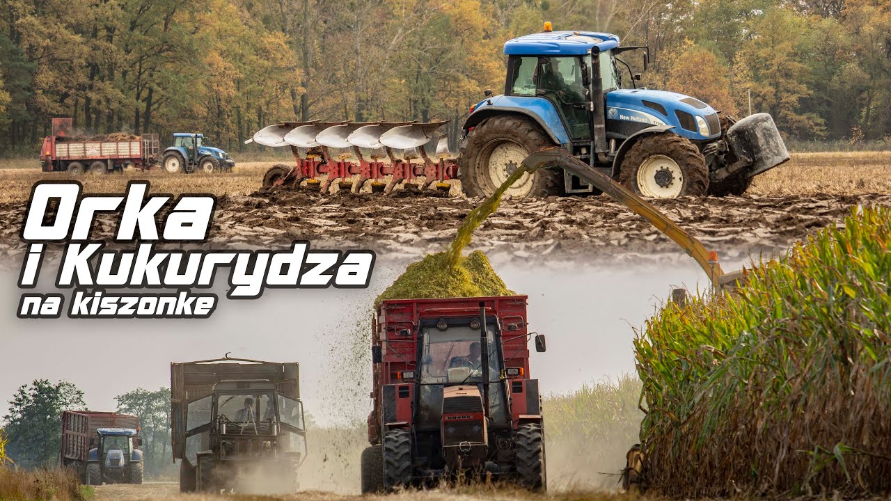 Kukurydza na kiszonkę oraz Orka 2O2O! 4x Ursus 3xNew Holland