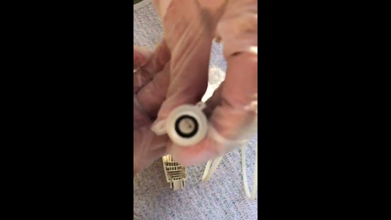 Smashing apart my 2.5 year old waterpik. Will there be mold?