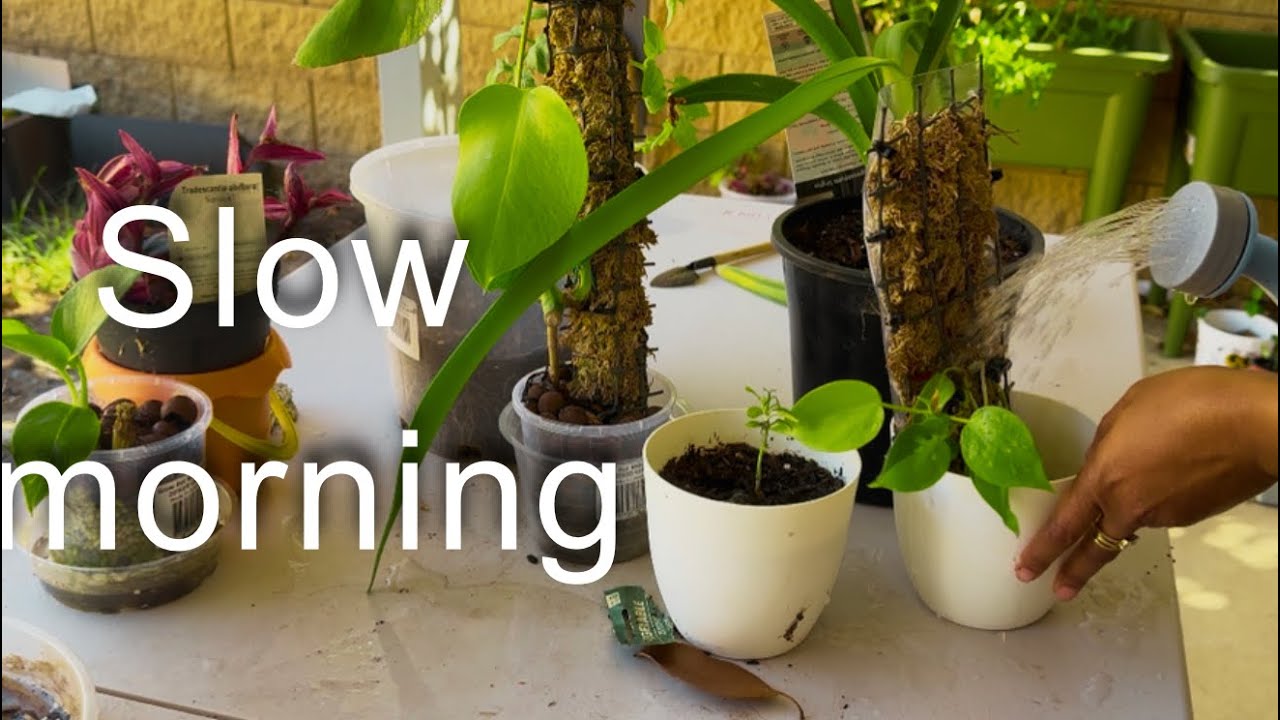 Silent Slow Morning Routine in Australia 🌿 | Calm & Productive Start