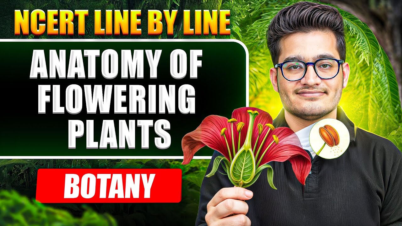 Anatomy of Flowering Plants FULL CHAPTER || NCERT Line by Line || Vipin Sir