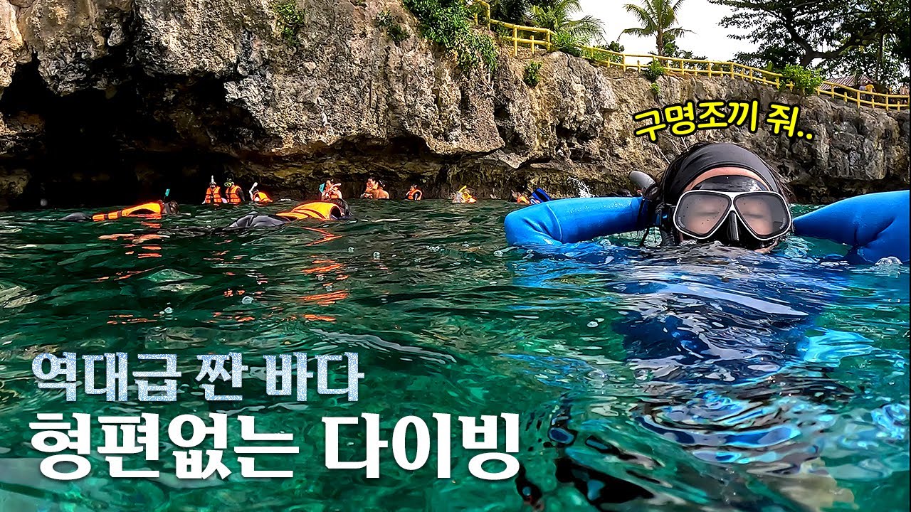 🇵🇭 프린이의 첫 해외 바다 프리다이빙🤿 | 필리핀 보홀 나팔링 | first freediving travel