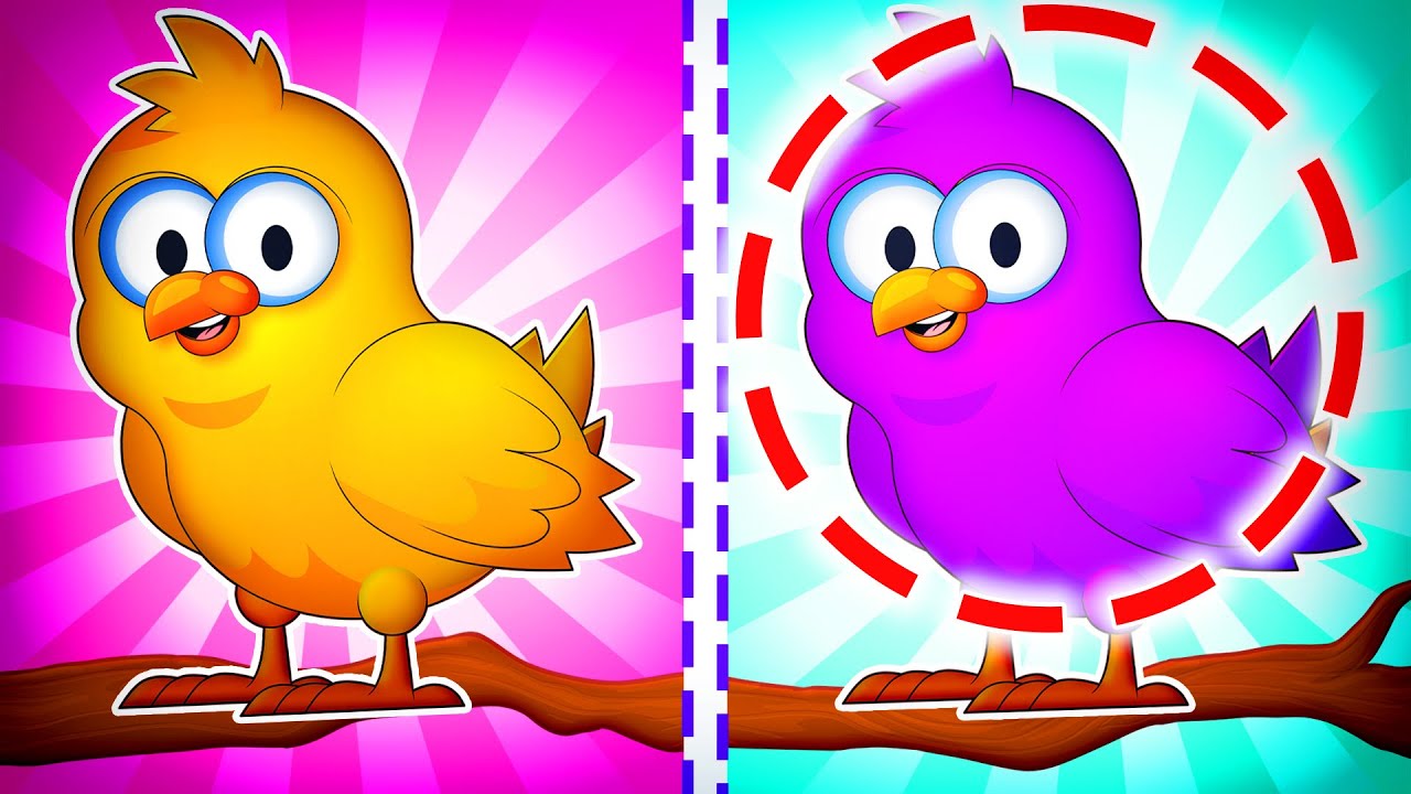 Trova La Differenza ✨😮 + Altri Video Educativi per Bambini | Piccoli Saggi