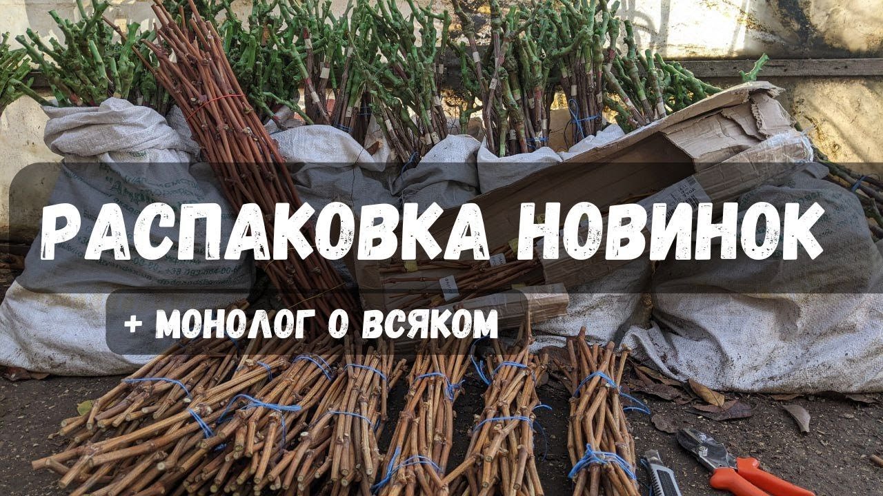 Распаковка новинок + монолог о всяком