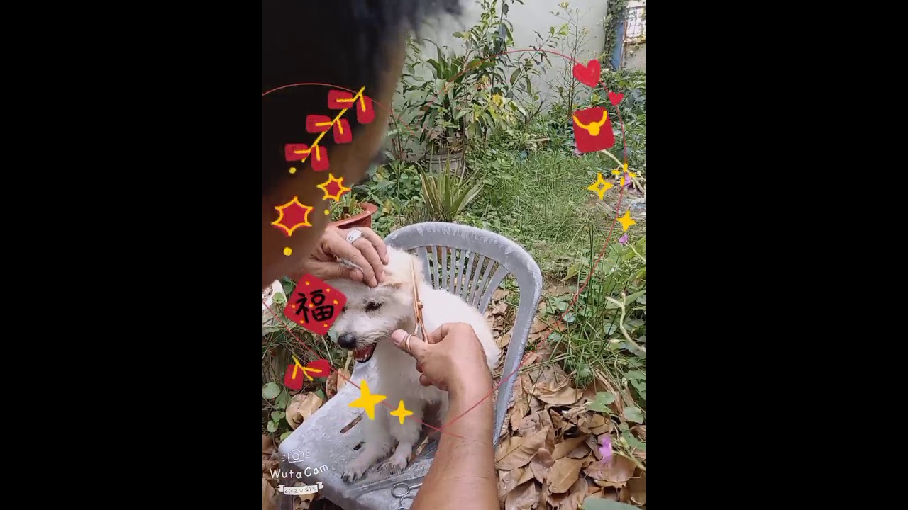 nu na nu nong...em hot toc de
