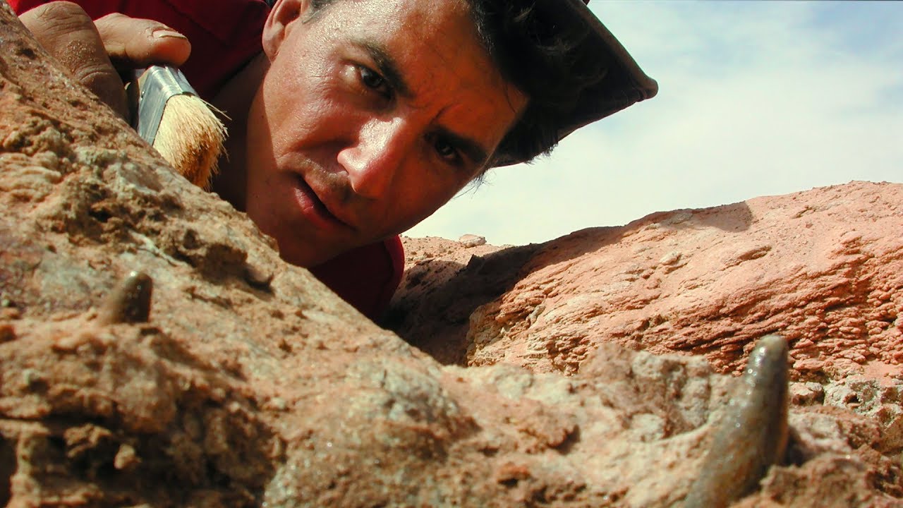 Full Frame: The Evolution of Our Planet Part 2