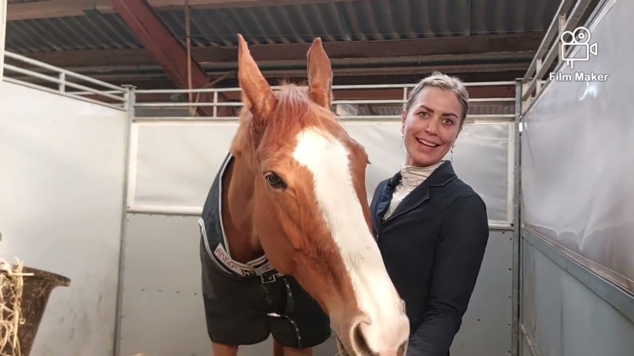 Dahlman Horse Treatment er Dorthes levevej