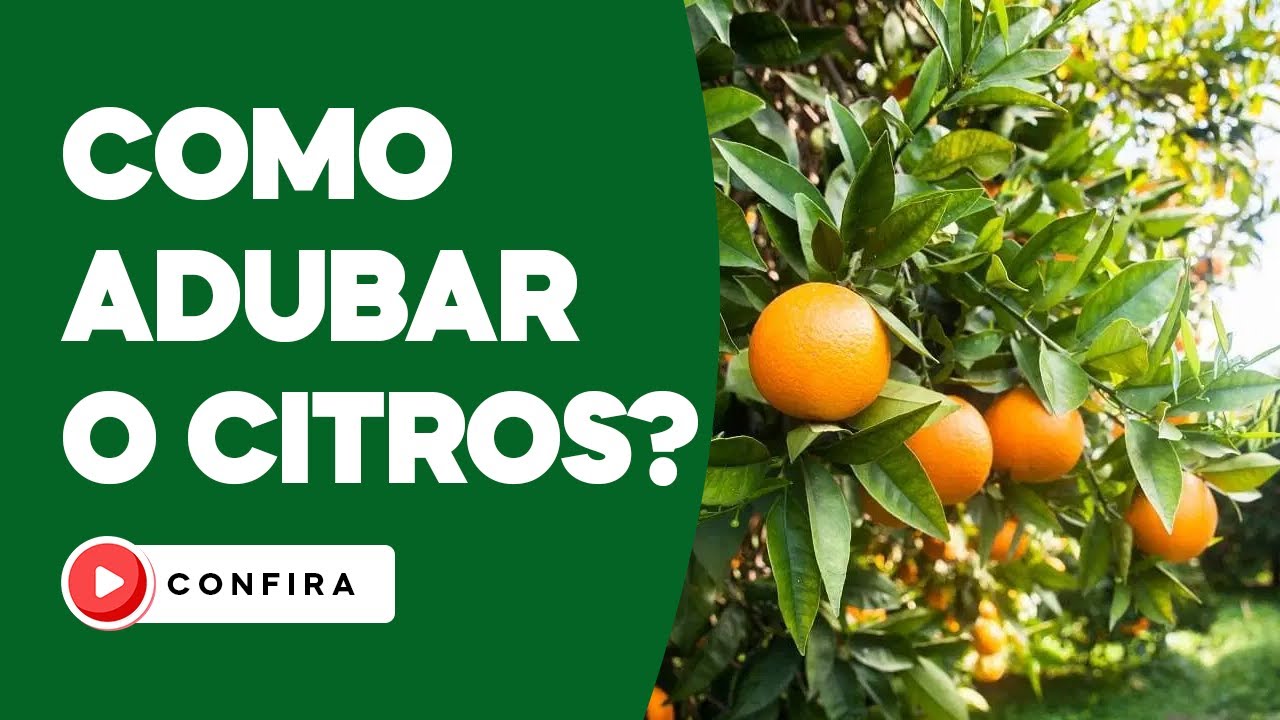 Adubação de precisão - Citros (laranja)