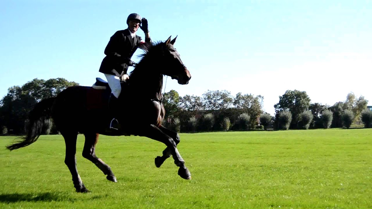 Fuchsjagd AMR 2015: Reiten, Springen, GoPro