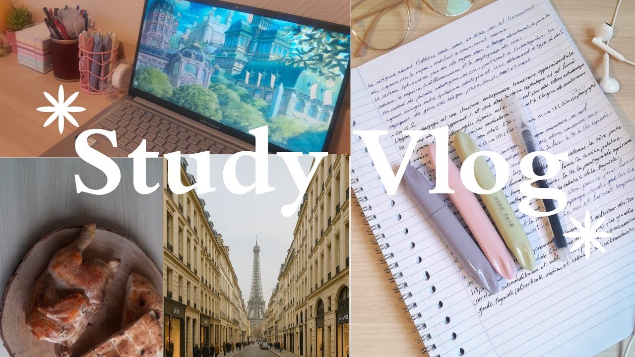 Study Vlog🌷 | cozy 7 morning, study, cooking lunch, motivation✨️