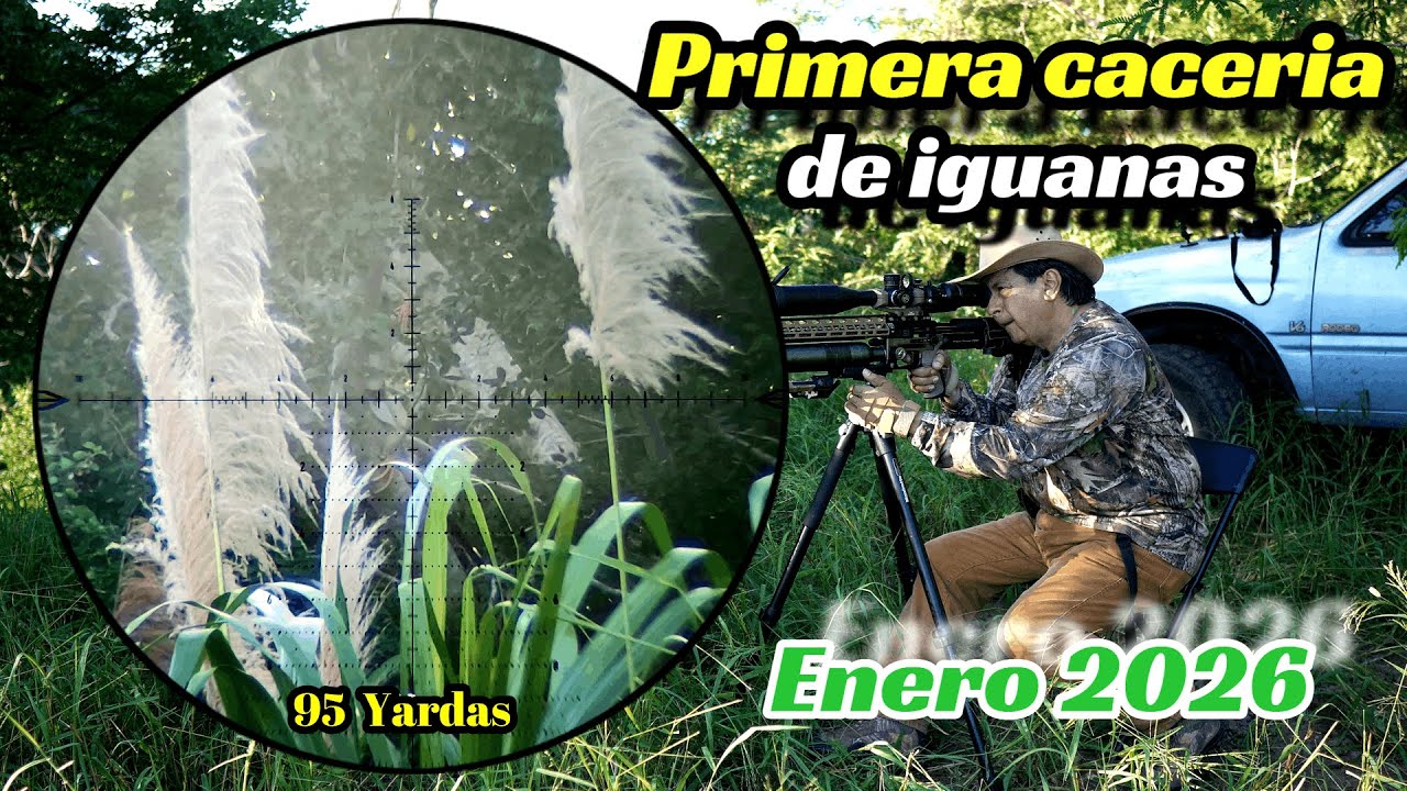 Primera cacería de iguanas del año / Enero 2026.