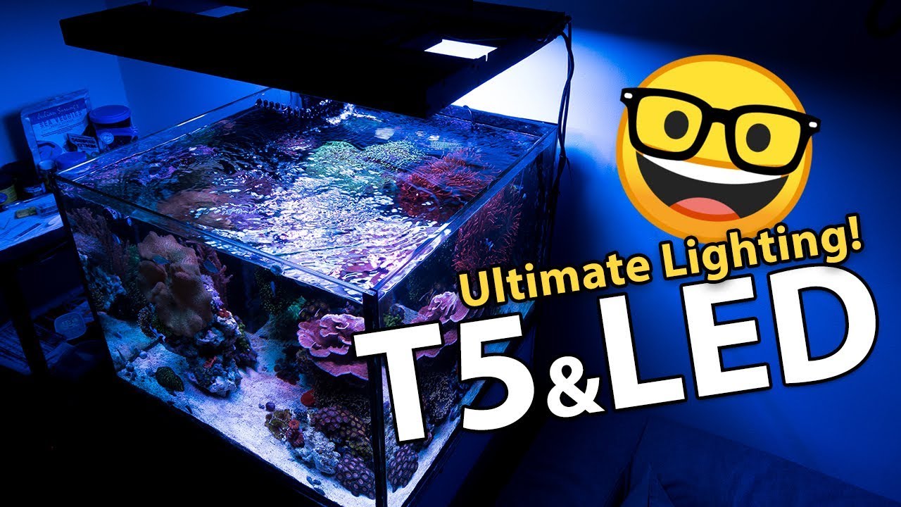 Switched to T5 Hybrid from LED!! (AquaticLife T5 Hybrid Fixture Review)