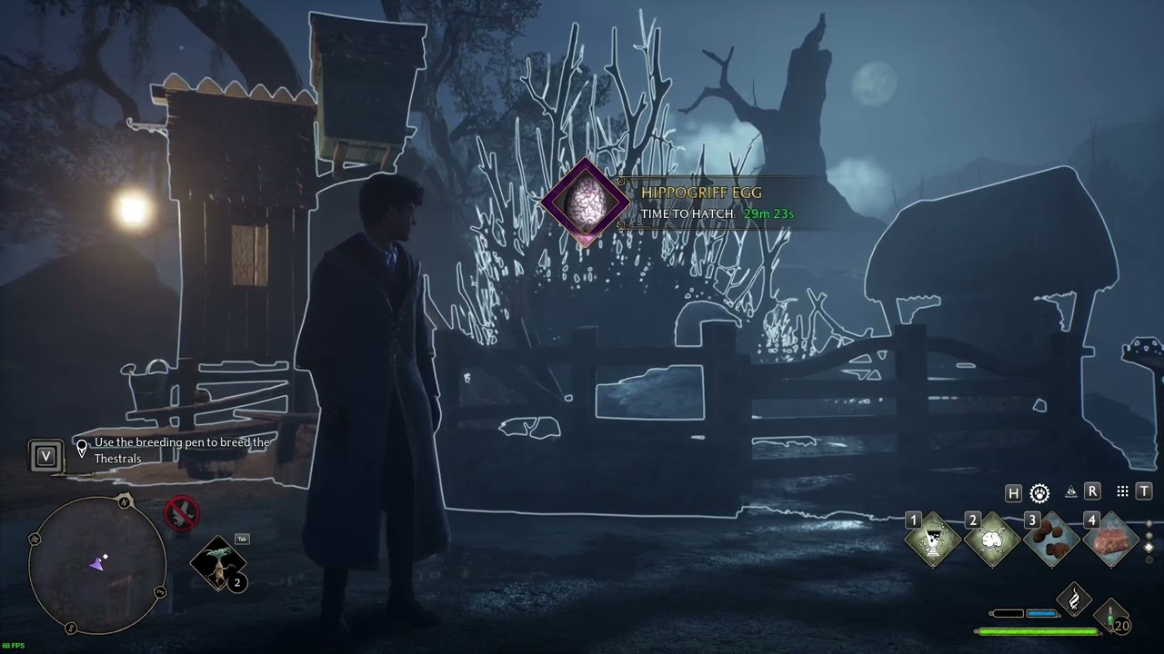 Breeding Pen For The Beasts || Hogwarts Legacy (No Commentary)