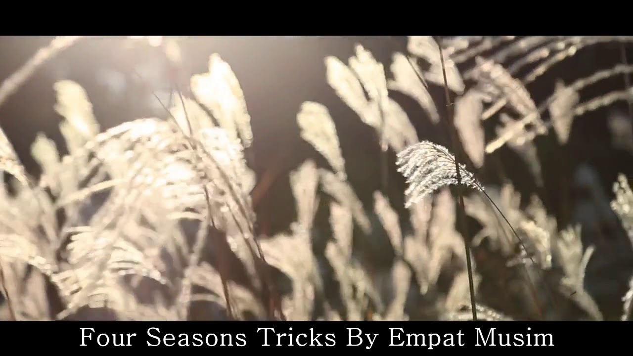 Four Seasons Tricks By Empat Musim #music #musicvideo