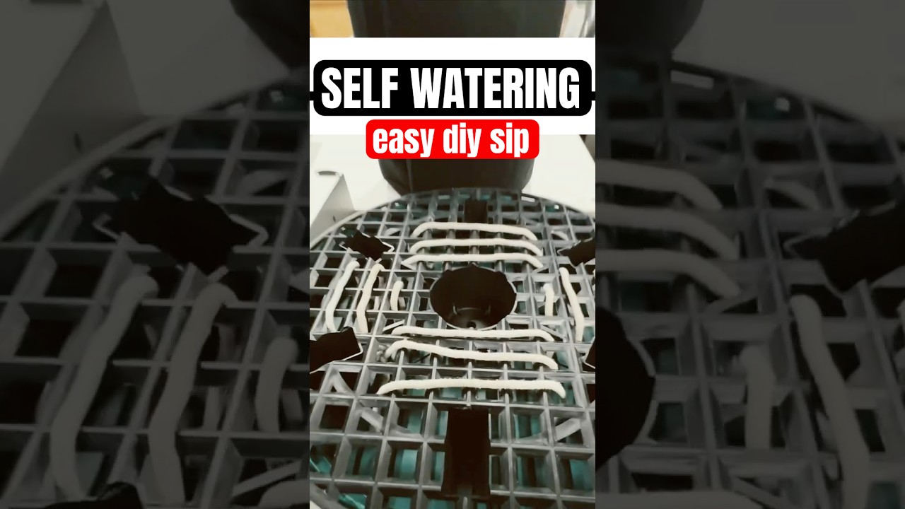 Self Watering Wick Base for Fabric Pots / DIY SIP for cannabis