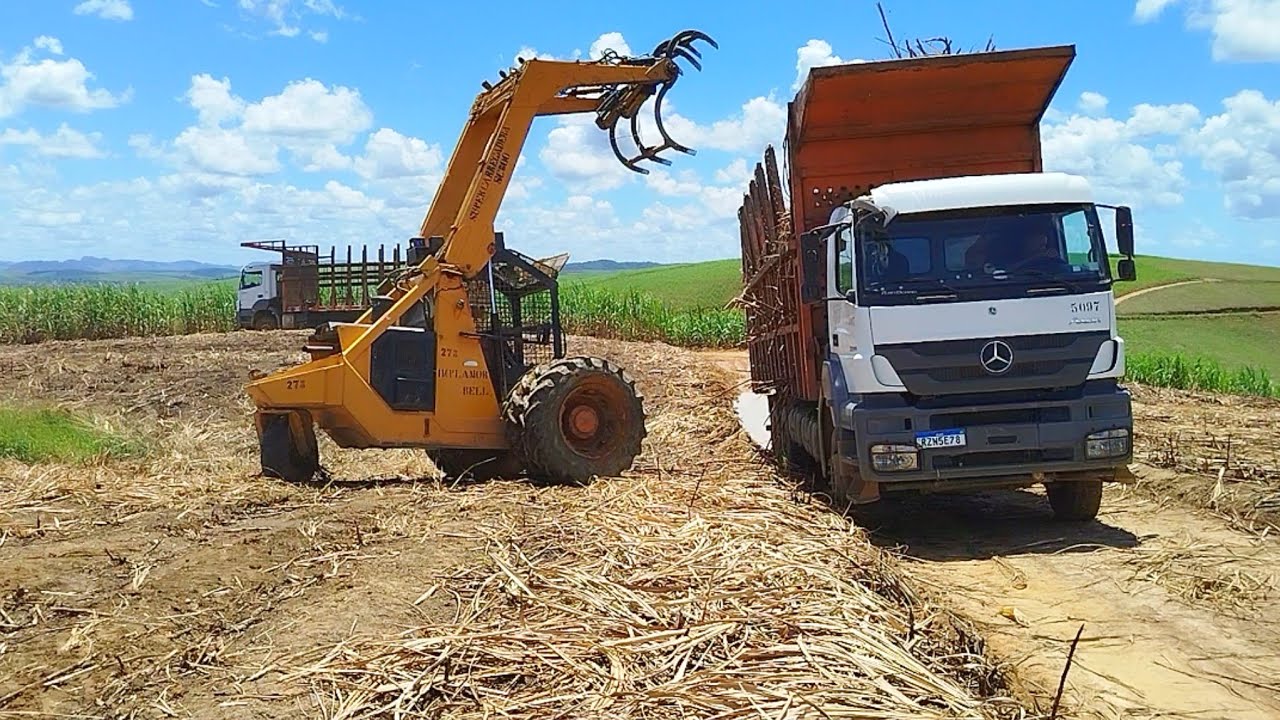 Vida De Canavieiro Em Movimento Usina JB Engenho Cassua