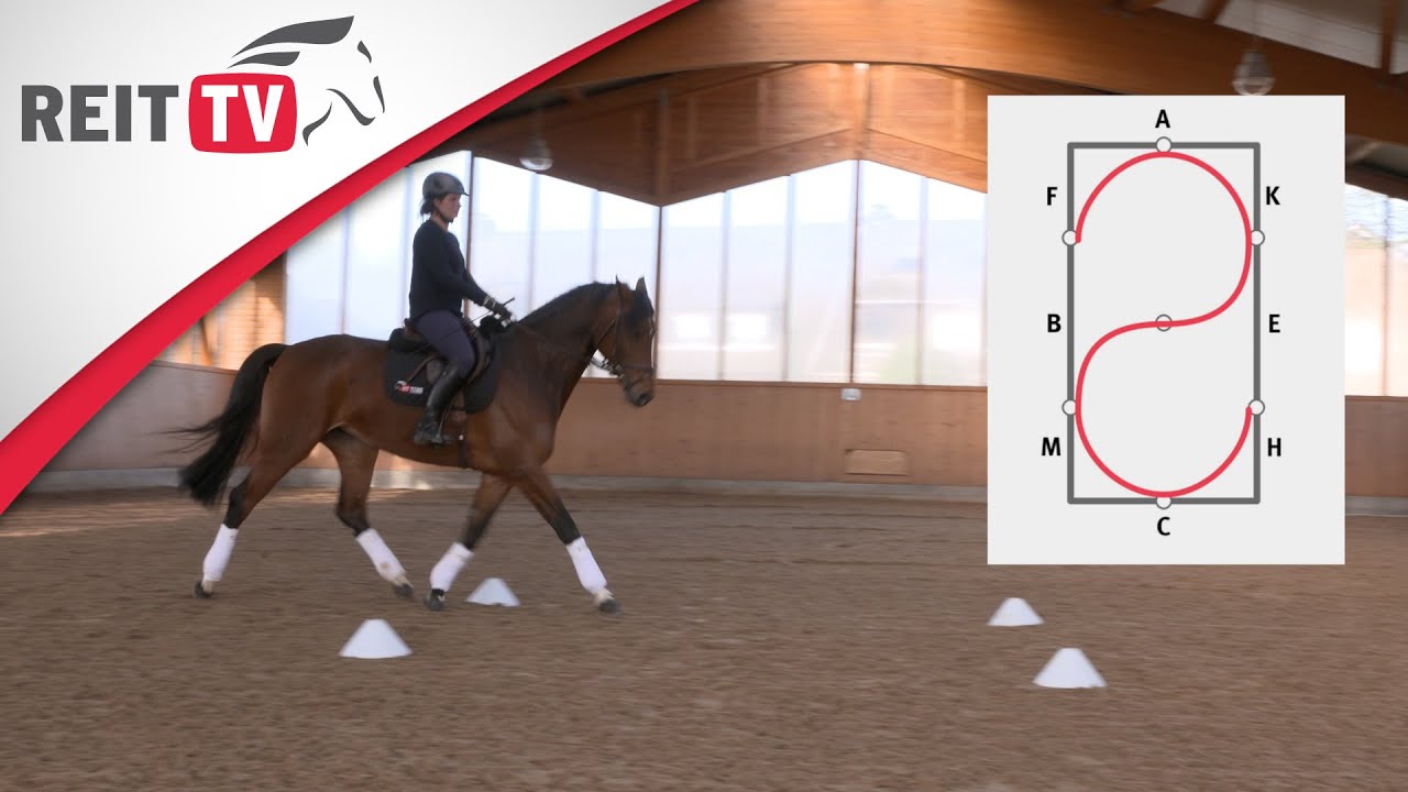 Reiten lernen: Bahnfiguren - Aus dem Zirkel wechseln