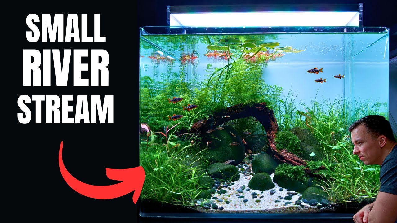 I MADE A RIVER AQUASCAPE FOR THE PERFECT NANO FISH! Aquascape Tutorial