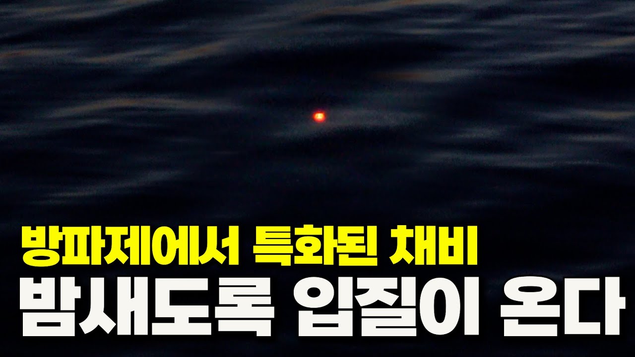아는 사람들만 하고있는 방파제에서 갈치 잡는 방법!! [박과장TV]