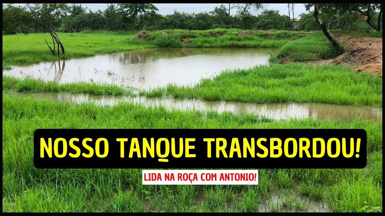 TEMPORAL EM NOSSO SÍTIO FEZ NOSSO TANQUE TRANSBORDAR! MUITA CHUVA NA BAHIA!
