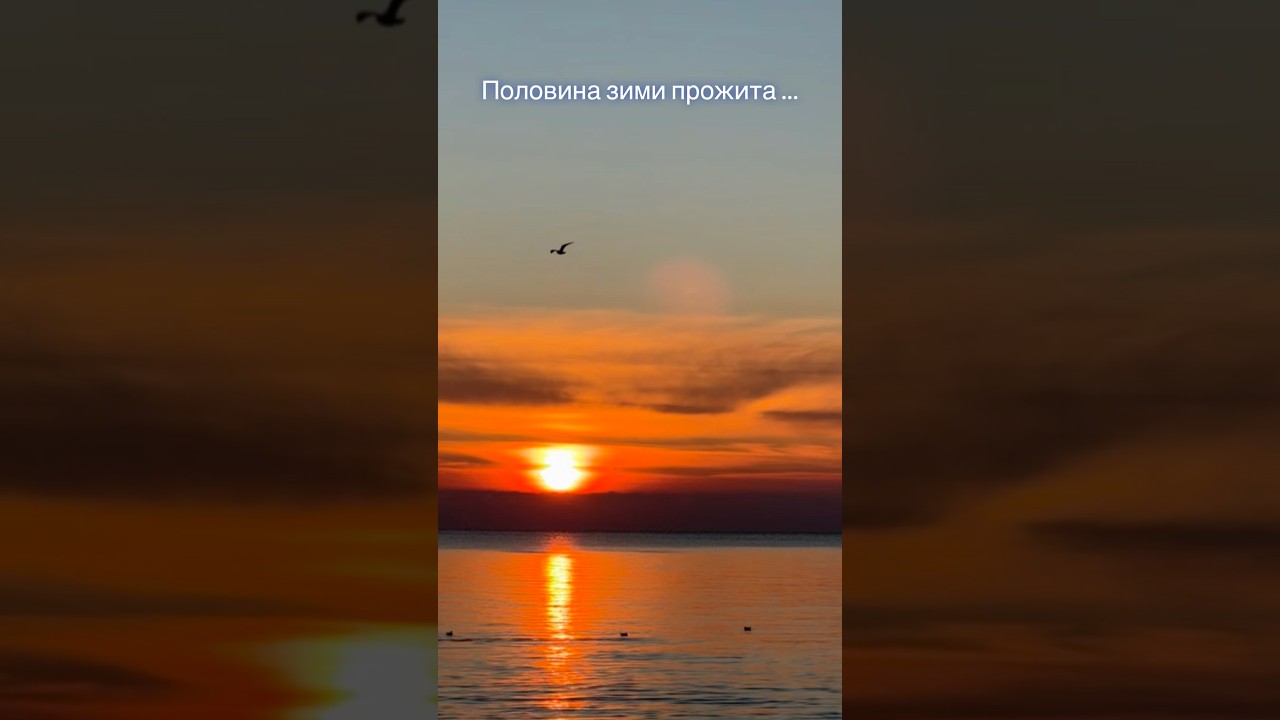 Половина зими прожита…