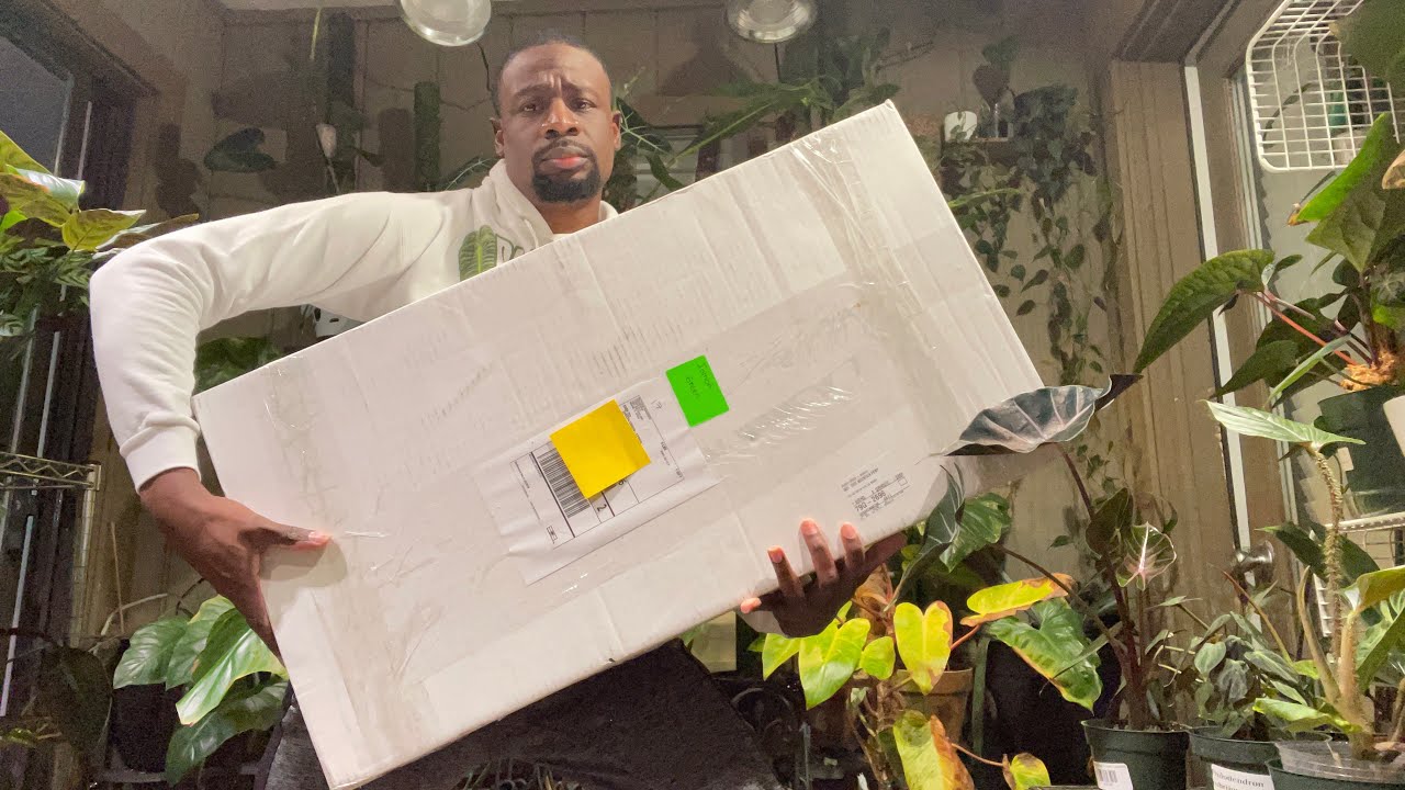 Tropicals Plants 🪴 Big Unboxing Energy!!
