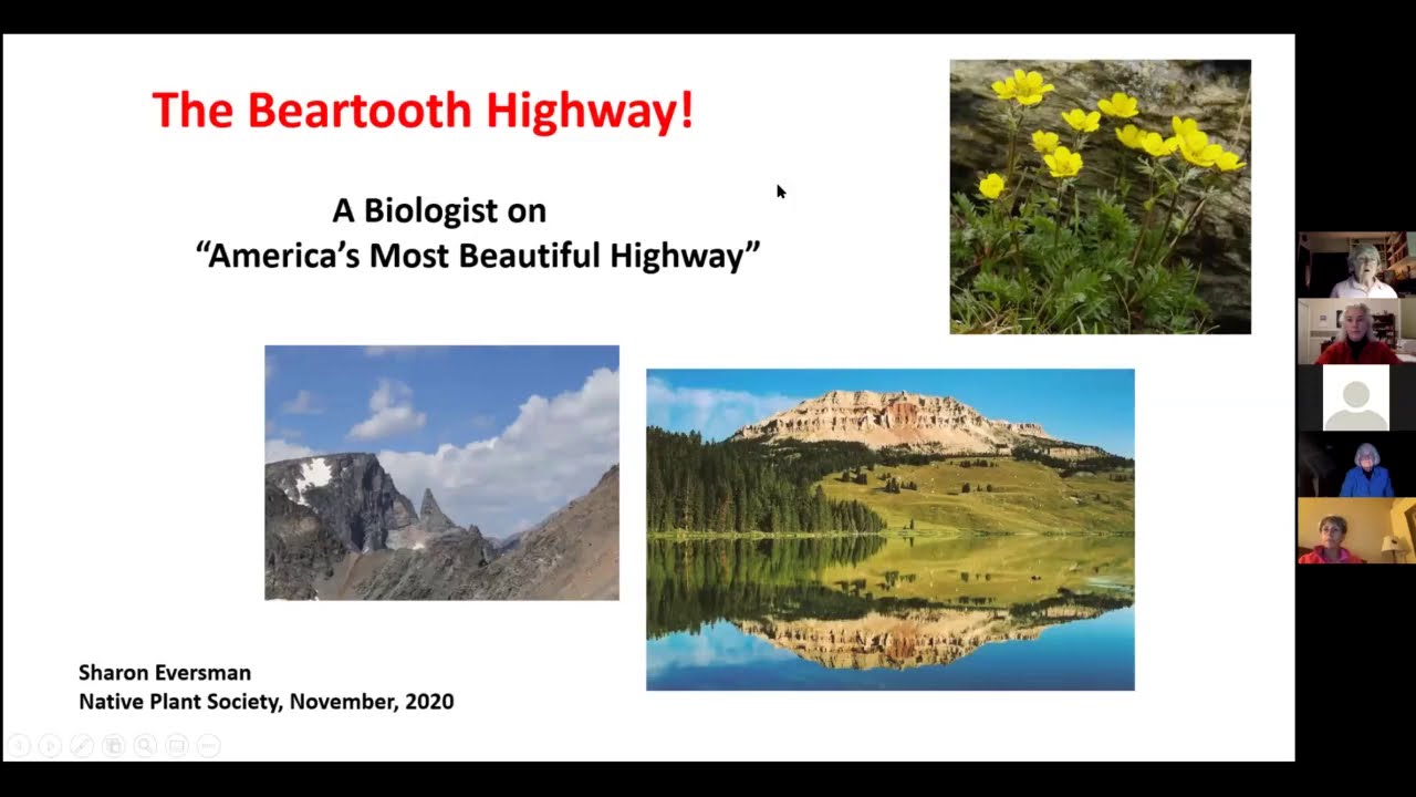 MNPS Presents! the Beartooth Highway with Sharon Eversman