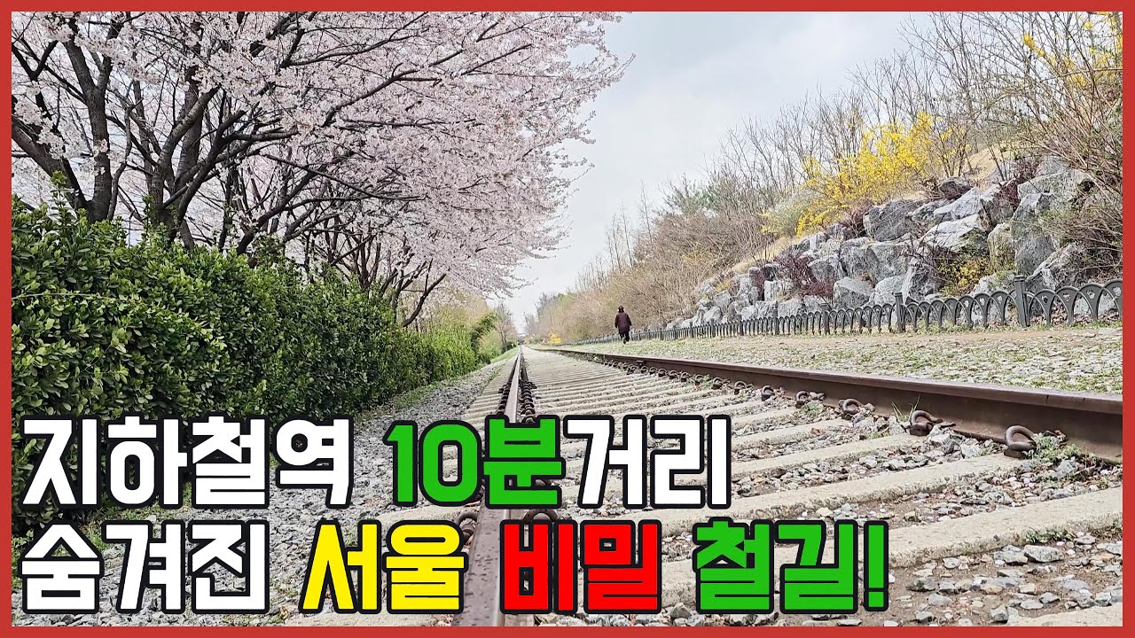 🚂 숨겨진 서울 비밀 철길! 항동철길,푸른수목원,구로올레길 트래킹🔥