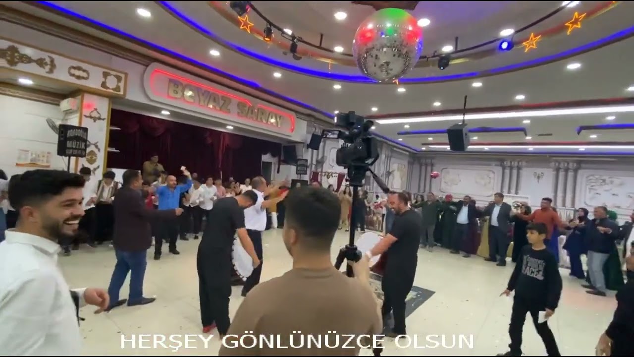 CESİM ARAPOĞLU  DOLAŞMA