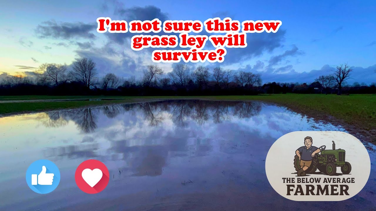 WILL THIS NEW GRASS LEY SURVIVE?