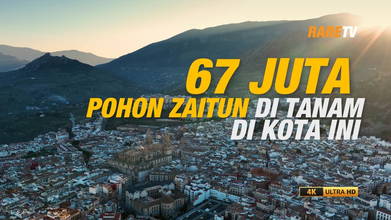 67 juta pohon zaitun ditanam di kota ini | Travelog Spain Ep 6