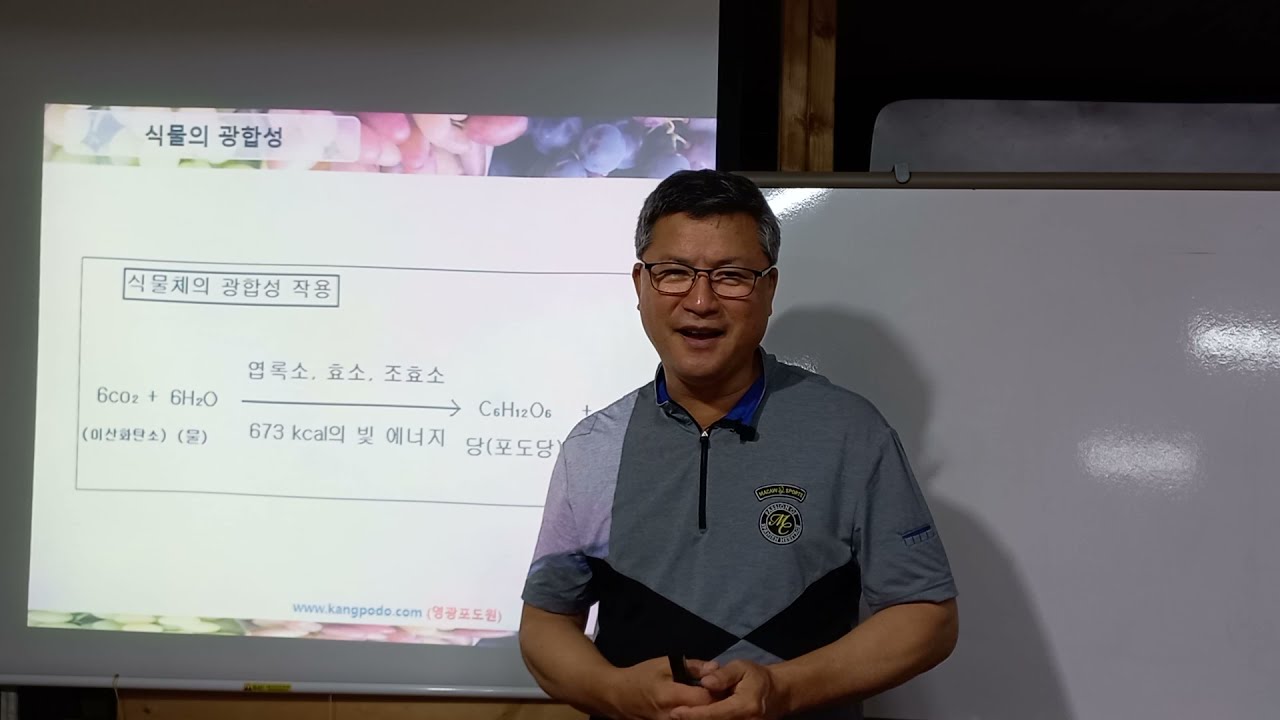 포도재배기술-식물성장과 광합성, 당도를 높게하려면?(강포도농법)