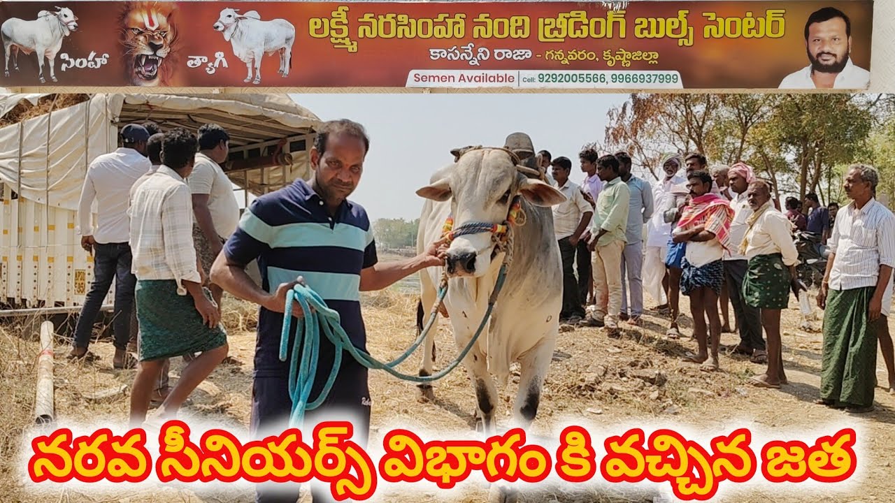 నరవ గ్రామం|| సీనియర్స్ విభాగం కి వచ్చిన జత గన్నవరం రాజా చౌదరి గారు 7-3-2026💥💥