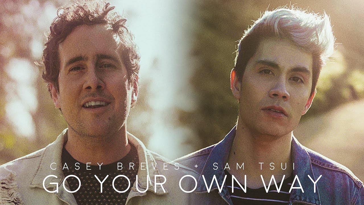 Go Your Own Way - Sam Tsui & Casey Breves (Acoustic Fleetwood Mac Cover)