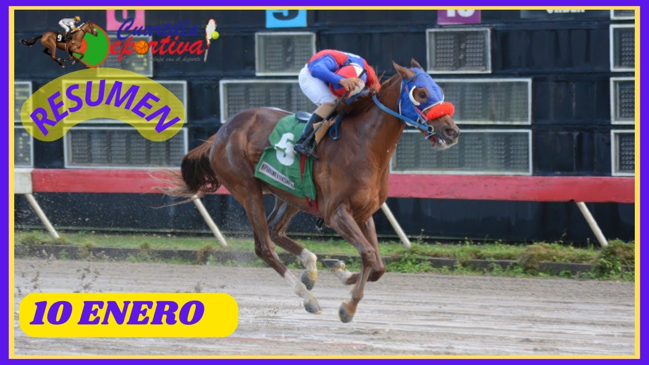 ✅RESUMEN 📽 sábado 10 ENERO 20256 carreras caballos🏇 en el V Centenario💰