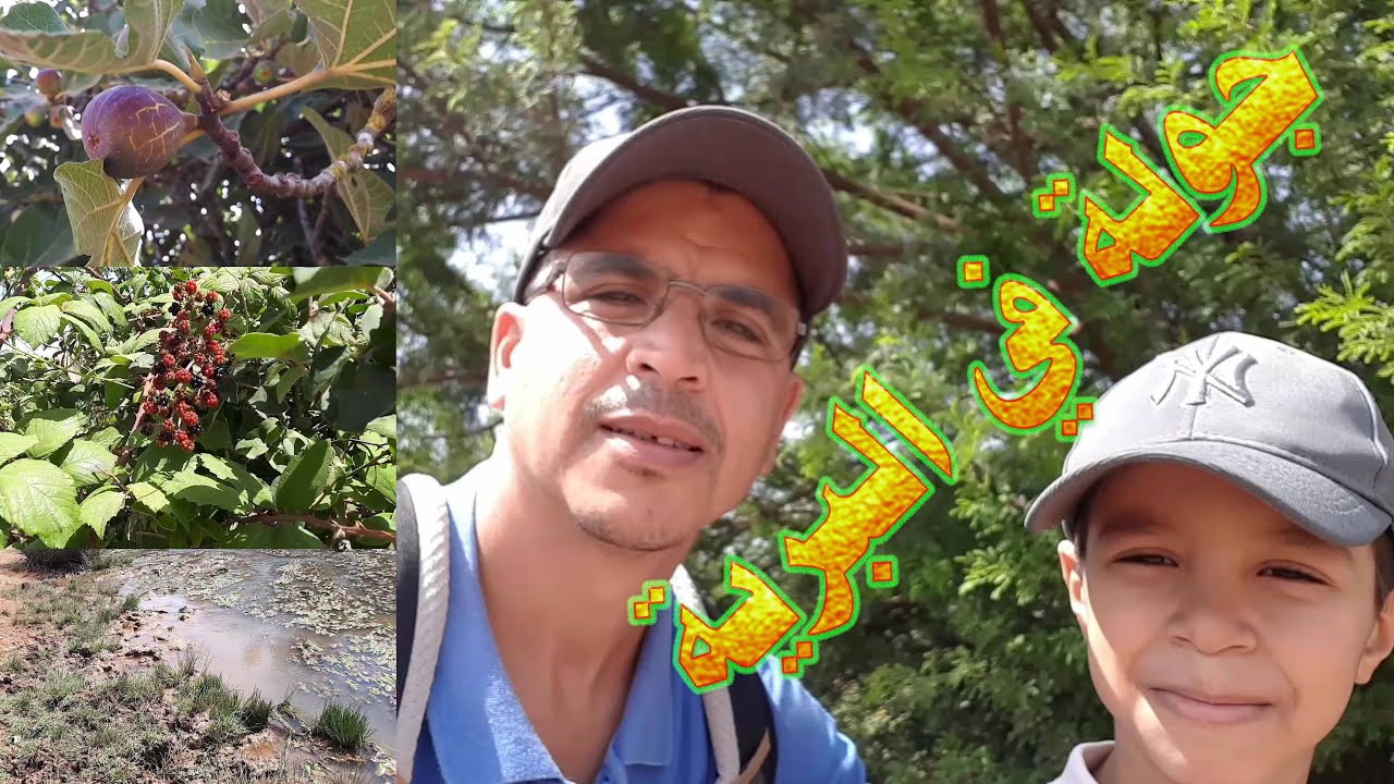 جولة في البرية @ Wilderness tour 🏞