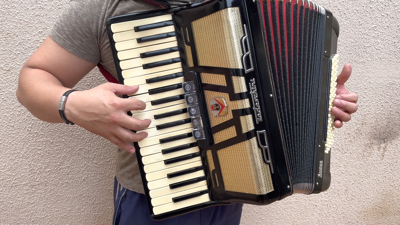 Review Acordeon Todeschini Super 5 vendido 🙏✈️✈️✈️Selo Verde Melhor série #acordeon