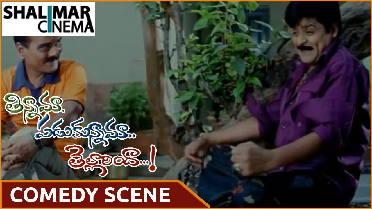 Tinnama Padukunnama Tellarinda Movie || Ali & LB Sriram Best Comedy Scene || Shalimarcinema