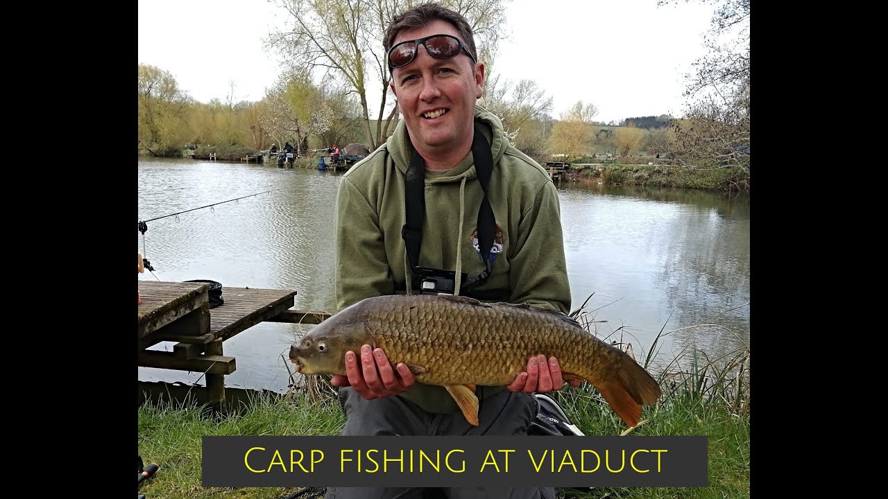 Carp Fishing at Viaduct Fishery