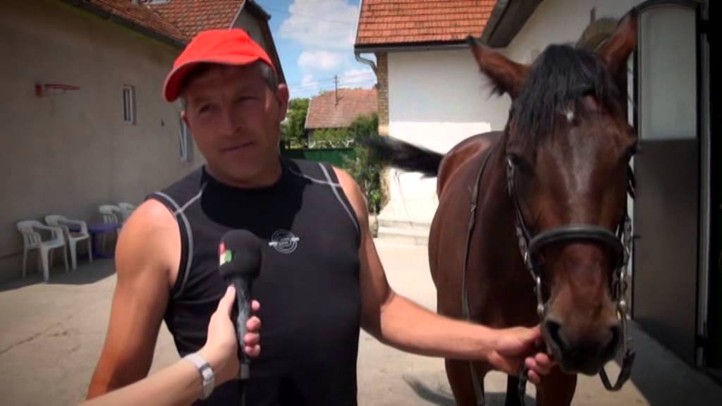 Gyarmat István (bemutatkozó kisfilm)