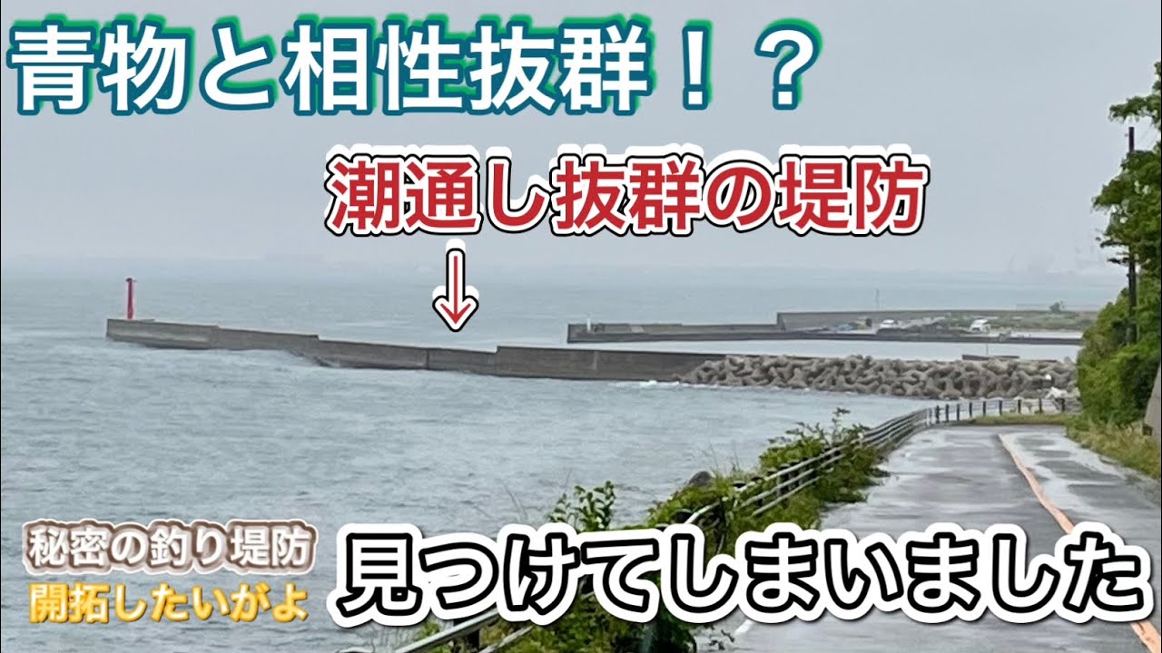 青物との相性抜群！潮通しが良い最強堤防を見つけました。【秘密の堤防を開拓したいがよ】