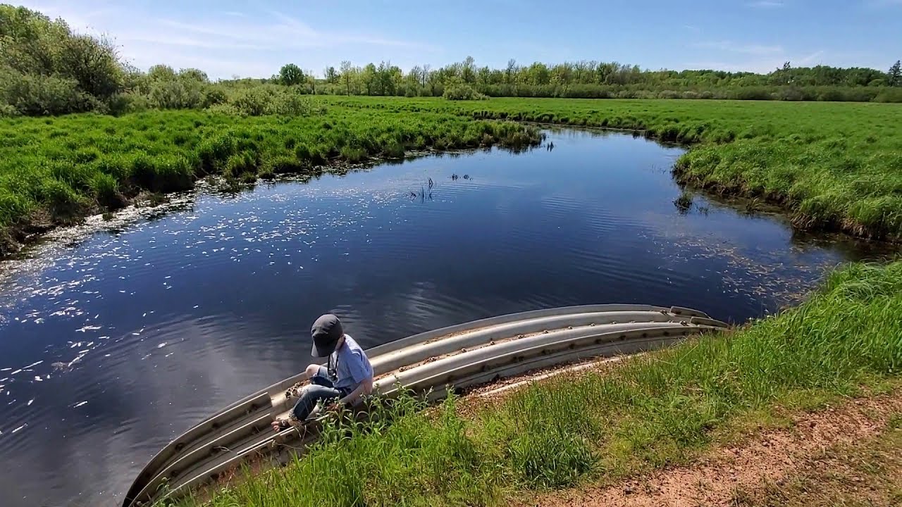A Landscape Worth Celebrating - Wisconsin Agriculture landscapes 2020 Short Lane Ag Supply