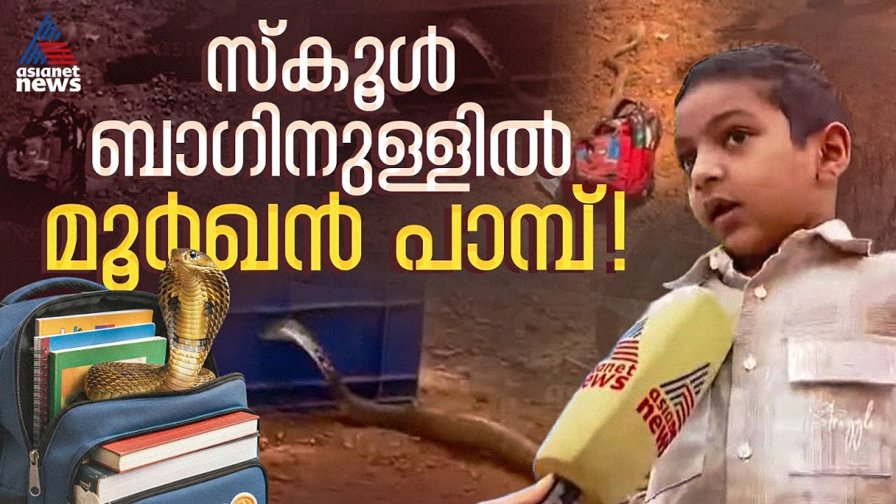 'എനിക്ക് അറിയില്ല പാമ്പ് എവിടെ നിന്ന് വന്നുവെന്ന്...' സ്‌കൂൾ ബാഗിൽ പാമ്പ്,ഞെട്ടൽ മാറാതെ വീട്ടുകാർ