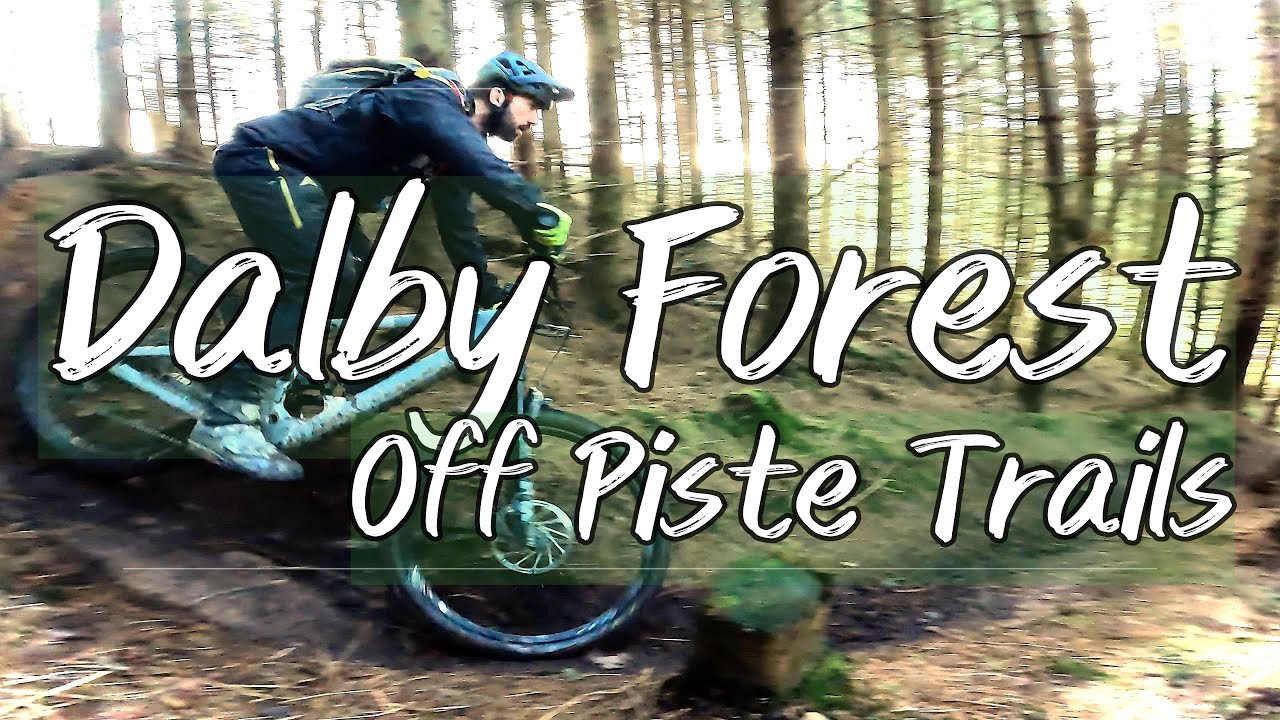 Conquering Dalby Forest's Hidden Trails with Garmin MTB Navigation